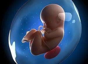 胎儿无创亲子鉴定2